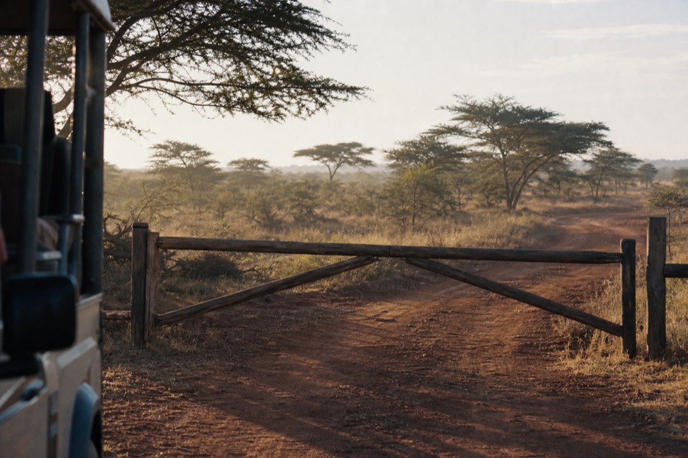 A wooden barrier gate across a red dirt park road with acacia scrub behind it, dust hanging in low morning light and empty track ahead