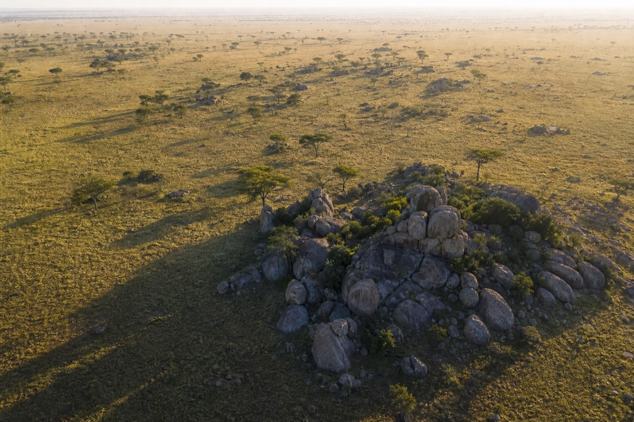 Aerial view of endless golden grassland reaching a hazy horizon at sunrise, scattered granite outcrops and flat-topped acacias casting long shadows across the plain
