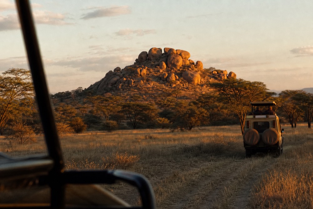 Granite kopje outcrop catching the first orange light above pale grass, acacia shadows stretching long across the plain, cool blue shade behind