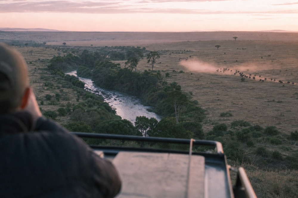 Wide aerial view of a river cutting a dark green line through pale savannah, dust rising from a distant column of animals crossing open ground