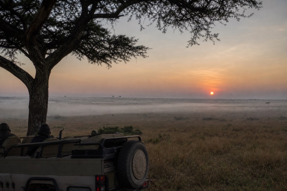 Low mist lying over open Serengeti grassland at first light, the sun a flat orange disc on the horizon and the air visibly still