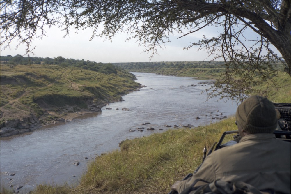 A wide brown river curving between steep grassy banks seen from the air in early light, hippo pods visible as dark shapes, trampled crossing paths worn into the bank