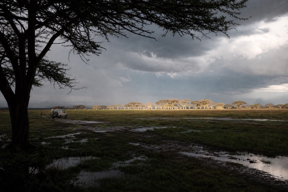 Heavy grey rain cloud breaking apart over wet plains at first light, a bright shaft of sun landing on a stand of flat-topped acacias, puddles reflecting the sky
