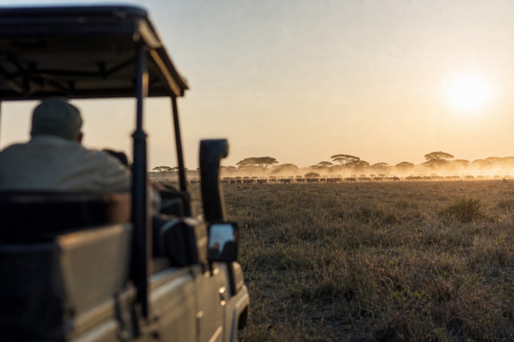 A horizon of dust raised by moving herds with flat-topped acacias in silhouette and the sun disc just clear of the plain