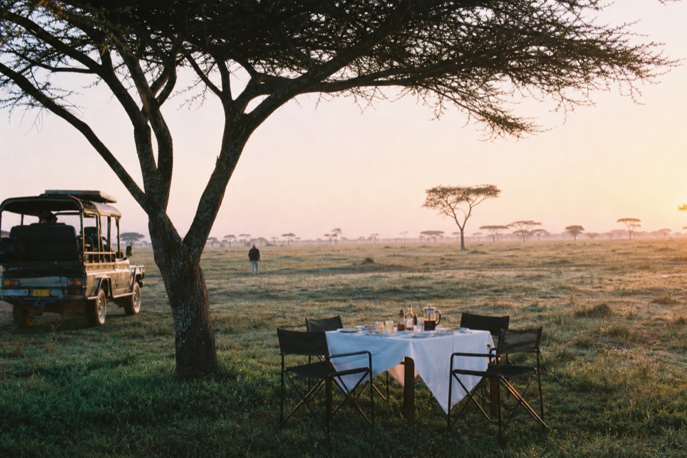 A white-clothed breakfast table set under a flat-topped acacia on open grassland, folding chairs, coffee pot, plates and glasses in warm morning light
